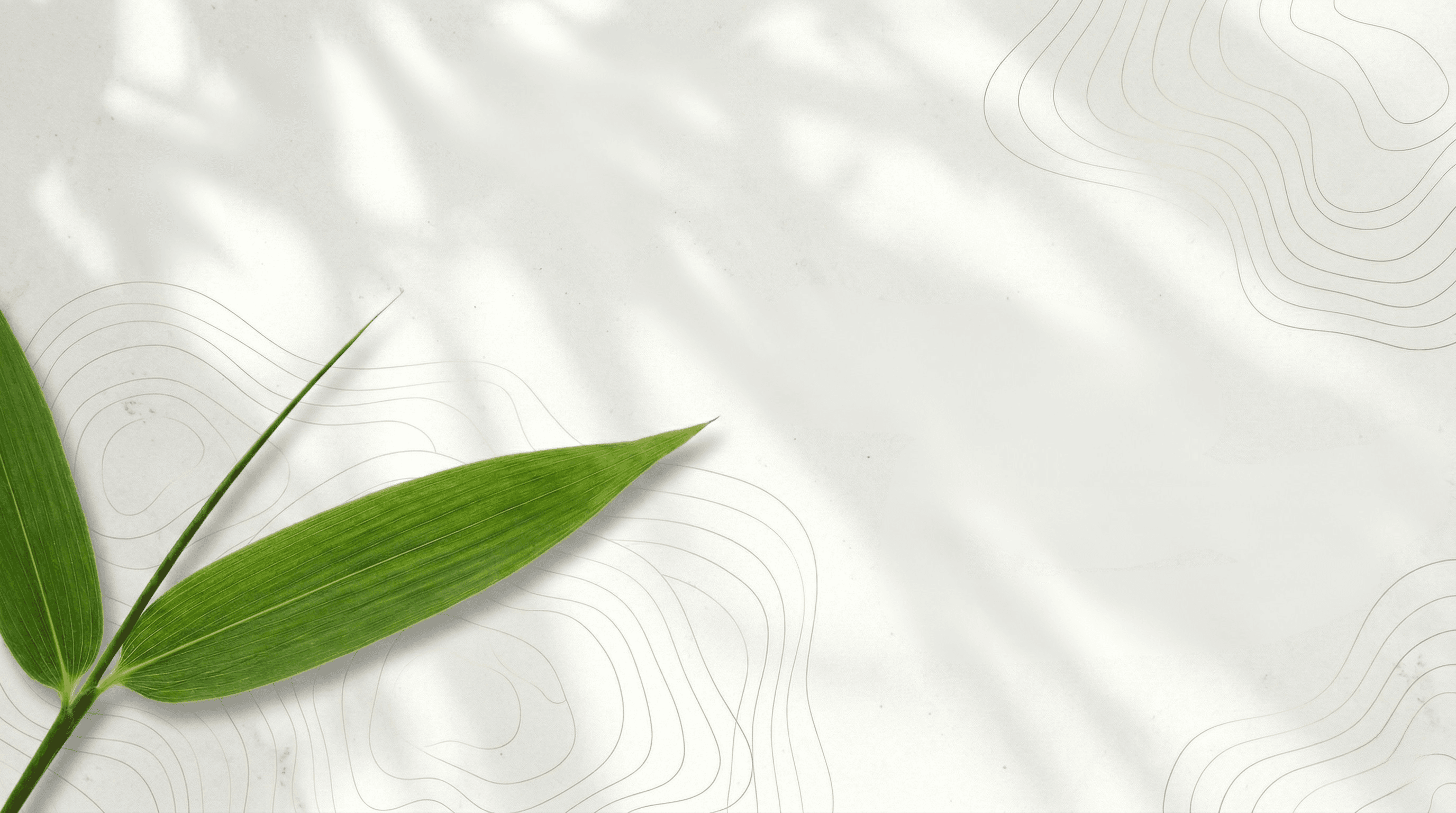 Brand Story Background